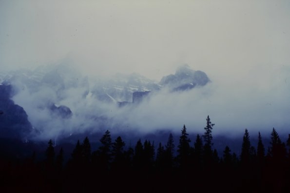 IMAG0010